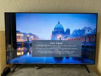 Defekt - LG 65 Nanocell Smart-TV Hessen - Königstein im Taunus Vorschau