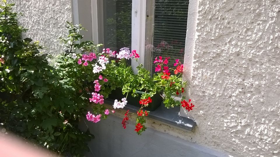 Berlin-Karlshorst: Kleine Terrassenwohnung in stilvollem Altbau in Berlin