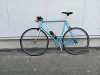 Raleigh Singlespeed RH 59,5 cm / Tausch möglich Nordrhein-Westfalen - Höxter Vorschau