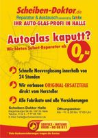 Scheiben Reparatur, Steinschlagreparatur Sachsen-Anhalt - Halle Vorschau