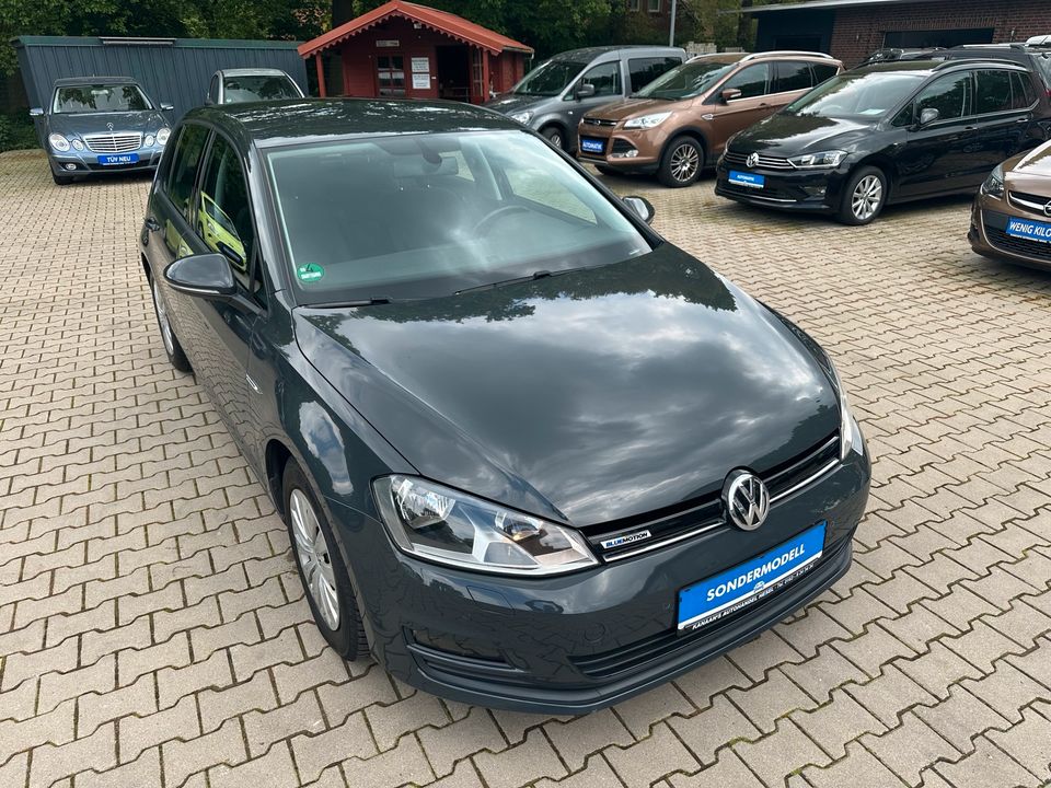 Volkswagen Golf 1.6 TDI BlueMotion Comfortline*** TOP GEPFLEGT ** in Hesel