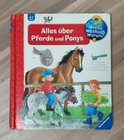Wieso weshalb warum Pferde und Ponys Baden-Württemberg - Waldbronn Vorschau