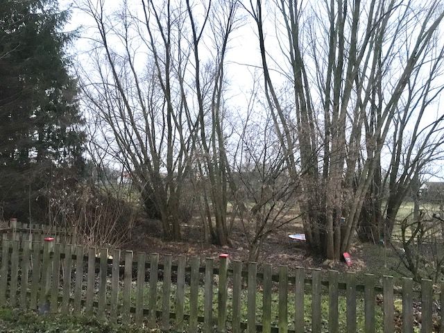 **Naturbelassenes Grundstück in Dresden Weißig mit Potential** in
