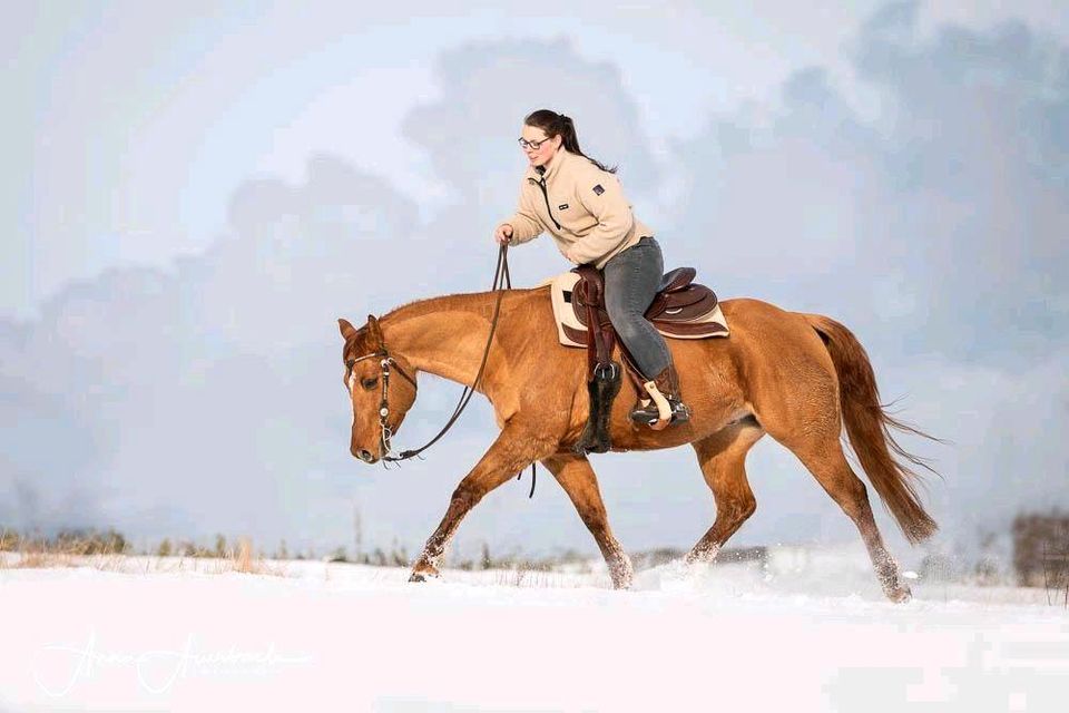 Reitbeteiligung gesucht (Western) (Pferd sucht Reiter) in Nideggen / Düren