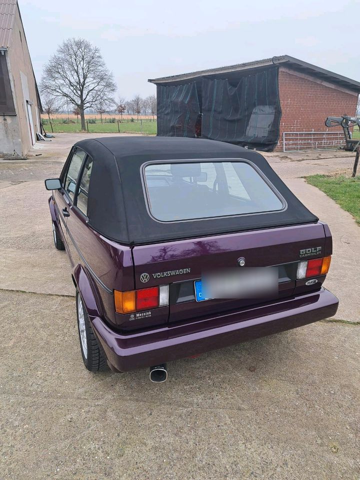 Golf 1 Cabrio in Rees