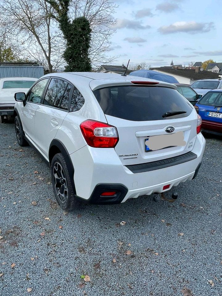 Subaru XV, EZ 10/2013, TÜV NEU in Butzbach