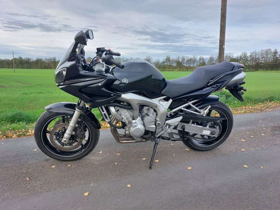 Suche Yamaha Fazer FZS 600 1000 YZF R Thunderace Thundercat in Dülmen