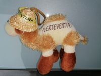 Souvenirs Kamel Urlaubsmitbringsel Kamele aus Fuerteventura Nordrhein-Westfalen - Hamm Vorschau