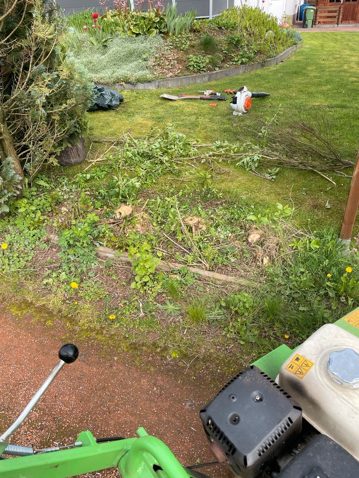 Ihre neue Hecke - Wir Pflanzen Ihre neue Hecke - Rund um den Harz in Hattorf am Harz