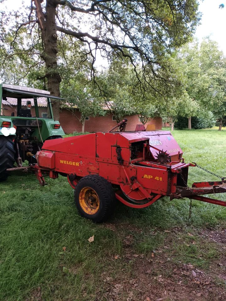 HD- Ballenpresse, Hochdruckpresse Welger Ap 41 in Haren (Ems)