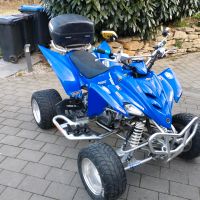 Suche Yamaha raptor 350 660 700 Motorschaden Unfall Baden-Württemberg - Ehrenkirchen Vorschau