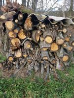 Holz Feuerholz kaminholz Eiche Thüringen - Nobitz Vorschau