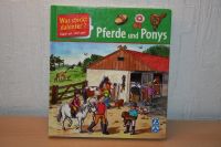 Kinderbuch Pferde und Ponys, Was steckt dahinter? Klapp´s auf ... Niedersachsen - Schiffdorf Vorschau