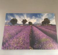 150x100 Leinwand Bild Provence Lavendel lavendelfeld Kunstdruck Bayern - Fürth Vorschau