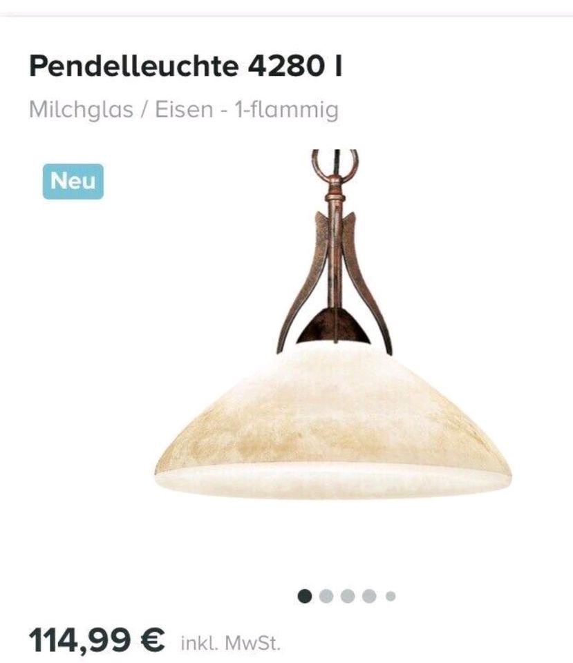 Große Deckenlampe (D40cm), Pendellampe von Lam. (Abholung) in Köln