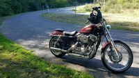 Harley sportster "72" Nordrhein-Westfalen - Merzenich Vorschau