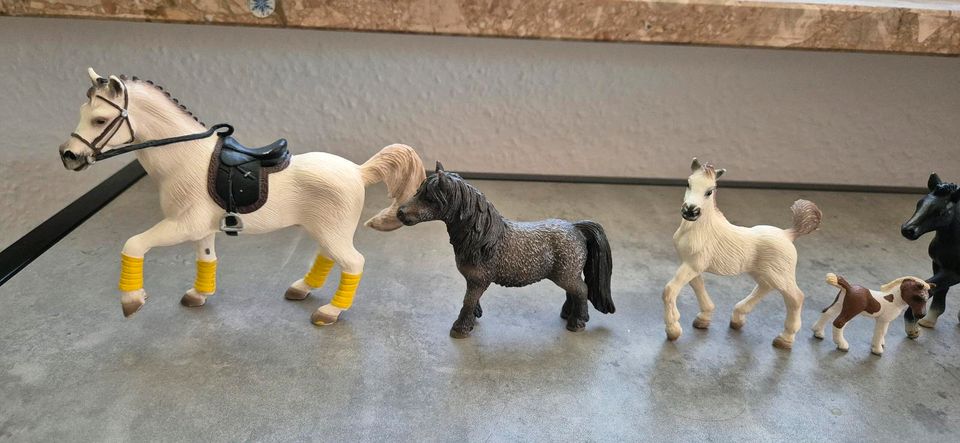 Schleich Figuren ( kleine Sammlung) in Stadthagen