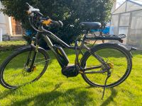 HAIBIKE XDURO Cross RX E-Bike 29“ RH 48cm Bayern - Münchsmünster Vorschau