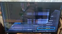 Samsung LED-TV 40“ UE406270SS Ersatzteile Displayschaden Süd - Niederrad Vorschau