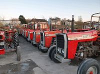 Suche MF Massey Ferguson 165 168  175 178 188 , 265 275 285 290 Wuppertal - Heckinghausen Vorschau