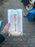 LED Rose im Glas geschenkt Nürnberg (Mittelfr) - Südstadt Vorschau