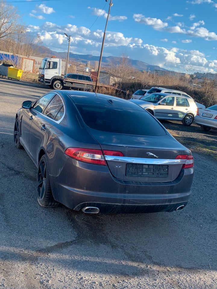 Schlachte Jaguar Xf 306 Dt X250 in Giengen an der Brenz