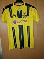 BVB TRIKOT Gr 164 Nordrhein-Westfalen - Herne Vorschau