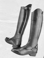 STEEDS SYLKA Reitstiefel Tender III  NEU Gr. 35 / 38 od. 42,5 Schleswig-Holstein - Wiemersdorf Vorschau