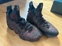 LeBron XV LMTD - gebraucht 42 Bonn - Endenich Vorschau