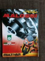 Malossi Multivar 2000 Maxi Scooter Kr. Altötting - Burghausen Vorschau