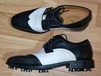 Leder Golfschuh von Callaway Gr.42,5 Güstrow - Landkreis - Teterow Vorschau