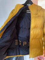 Herren jwinterjacke Größe M Esprit Hessen - Bad Homburg Vorschau