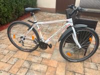 Mountainbike Fahrrad 29 Zoll/21 Gänge Sachsen-Anhalt - Wörlitz Vorschau