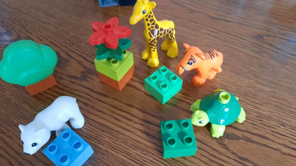 Duplo Sets  verschiedene in Gladbeck