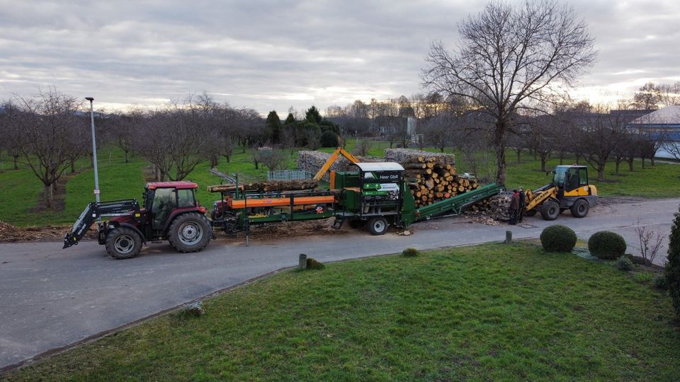 Lohnspalten - Brennholz spalten (Posch K540) in Sasbach