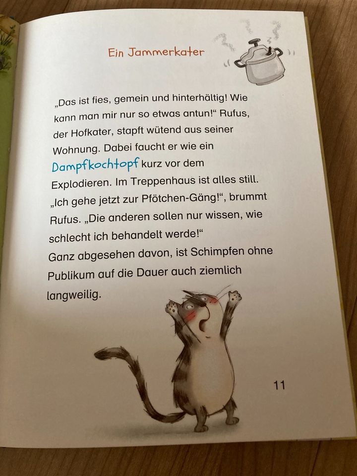 Kinderbücher 6-10 J. Kleine Dame, Conni, Pfötchen-Gang in Reppenstedt