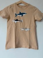 Süßes Pailletten T Shirt von topolino 116 Wandsbek - Hamburg Marienthal Vorschau