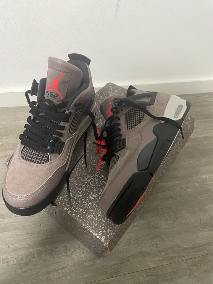 Nike Air Jordan 4 Taupe Haze in Kiel