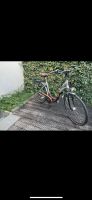 Fahrrad Damenfahrrad Hercules Libelle Köln - Immendorf Vorschau