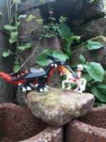 Lego Duplo Ritter und Drache Hessen - Wald-Michelbach Vorschau