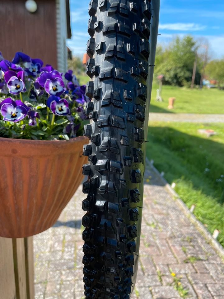 2x Fahrradmänel Maxxis Rexon 27.5x2.40 65PSI in Hamburg