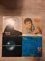 14 Schallplatten Sammlung Vinyl günstig abzugeben Hessen - Fulda Vorschau