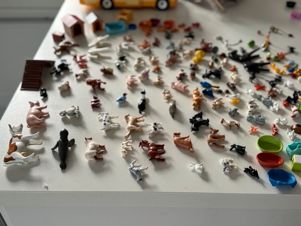 Playmobil, Kopfbedeckung, Tiere, Figuren, diverse Sachen in Edewecht