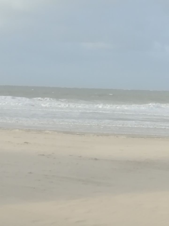 Ferienwohnung 250m am Strand Renesse Niederlande in Berlin