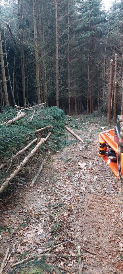 Fällgreifer Rodung Baumfällung Landschaftspflege in Berching