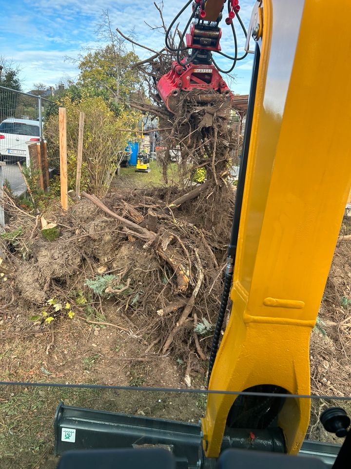 Sturmschäden | Gartenarbeit & Gartenpflege | Baumschnitt in Steinhöring