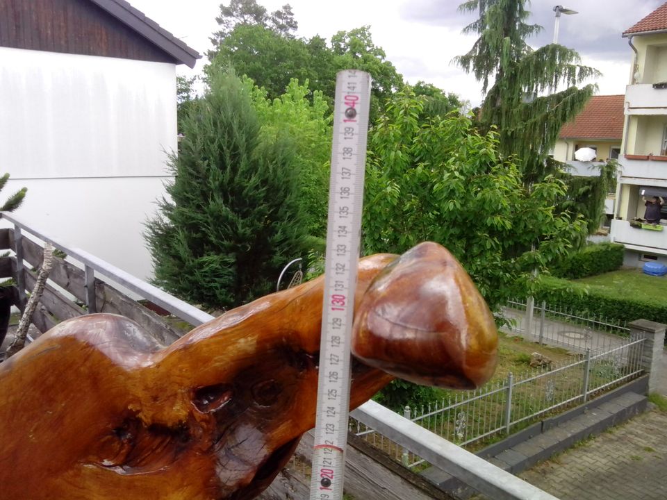 Wurzelholzbank Teakholz Schaufenster Dekorateur Studio Blickfang in Bischberg