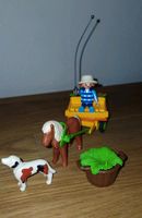 Playmobil Junge mit Ponykutsche zu verkaufen 8 Hessen - Schenklengsfeld Vorschau