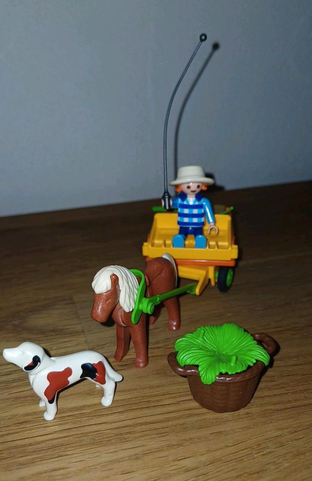 Playmobil Junge mit Ponykutsche zu verkaufen 8 in Schenklengsfeld