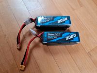 2x 6s 3000mah gens ACE Lipo XT60 heli raw420 sab sls Bayern - Obing Vorschau